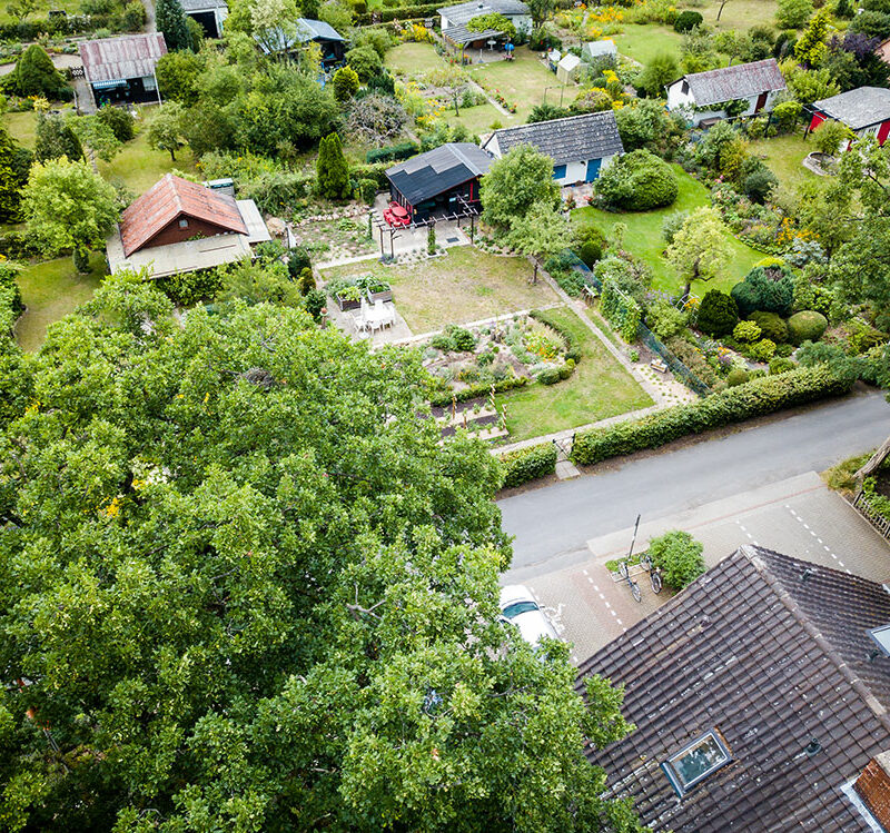 Luftbildaufnahme mit Blick auf die Straße und die Kleingärten vor dem Haus