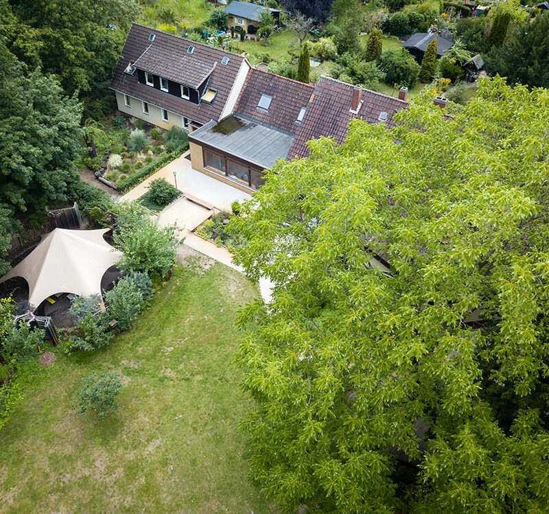 Luftbildaufnahme von Haus, Garten und Tipi. Im Vordergrund die Krone eines Baumes.