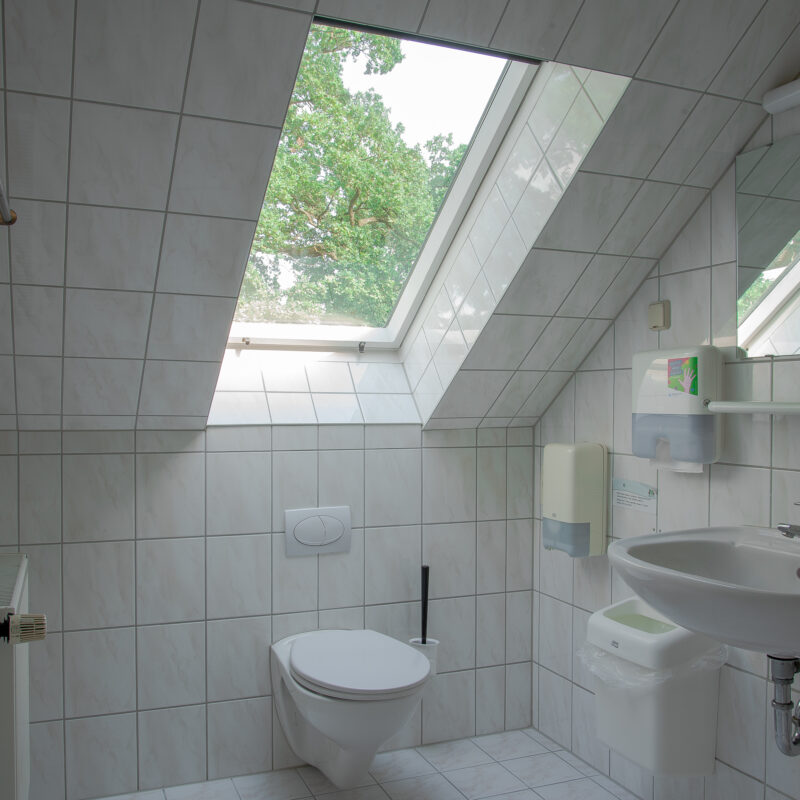 Blick in ein Badezimmer mit Toilette, Waschbecken und Spiegel und Duschkabine im Dachgeschoss mit einem Fenster in der Dachschräge. Blick raus in eine grüne Baumkrone.
